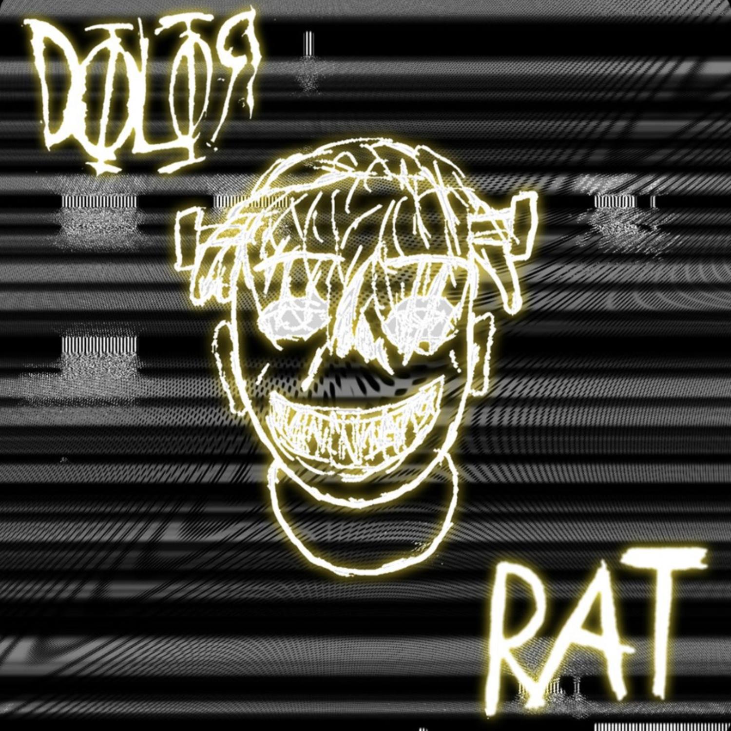 Rat