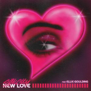 New Love - Silk City & Ellie Goulding (BB Instrumental) 无和声伴奏 （升4半音）