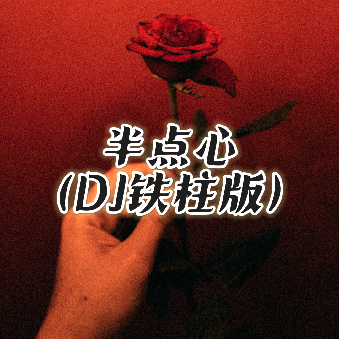 DJ铁柱 - 半点心（DJ铁柱版）