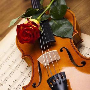 爱的致意 埃尔加 小提琴吉他 小提琴曲伴奏 （升7半音）
