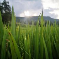 山里的孩子盼出山