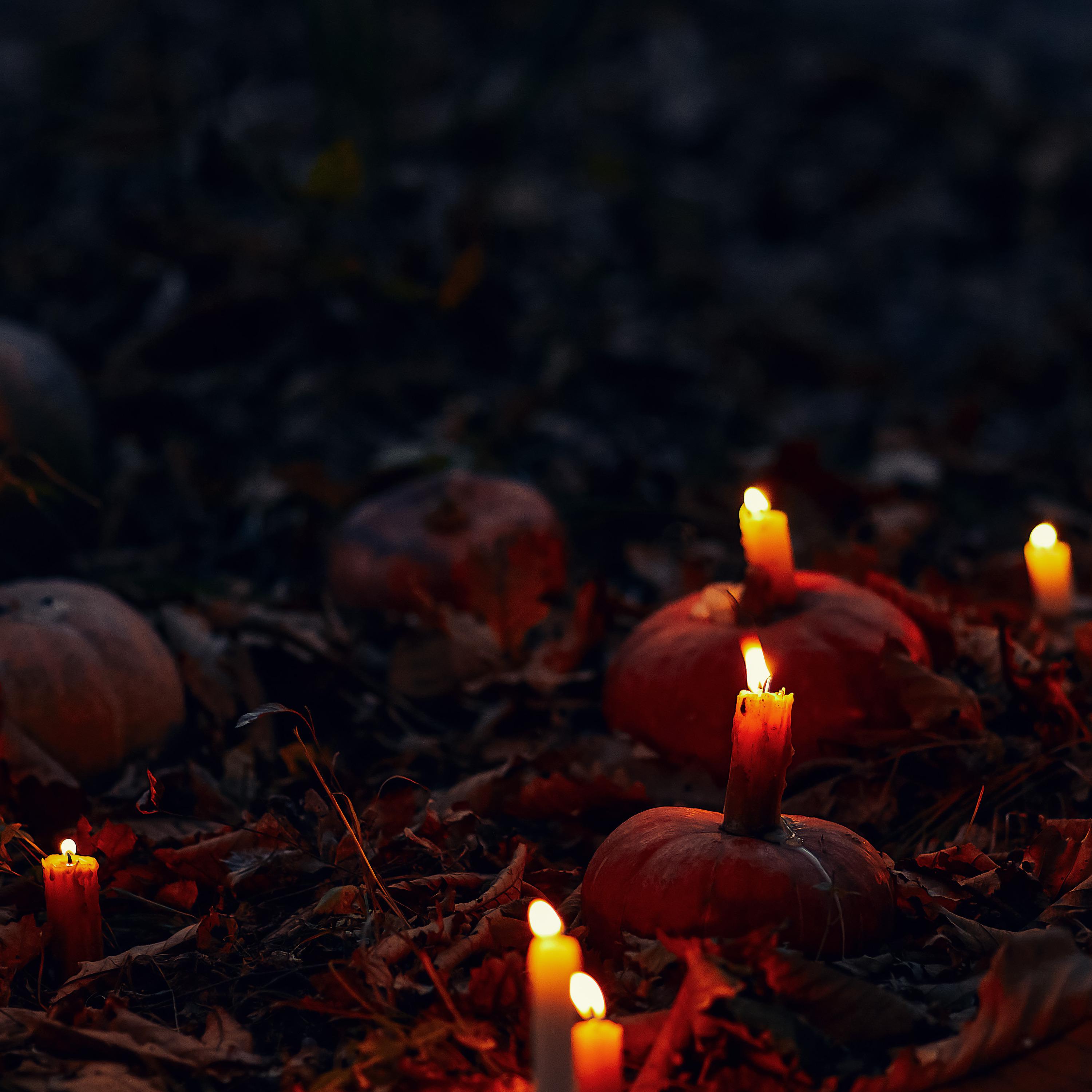 All Saints Fright