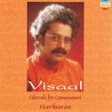 Visaal (Ghazals for Connoisseurs)专辑