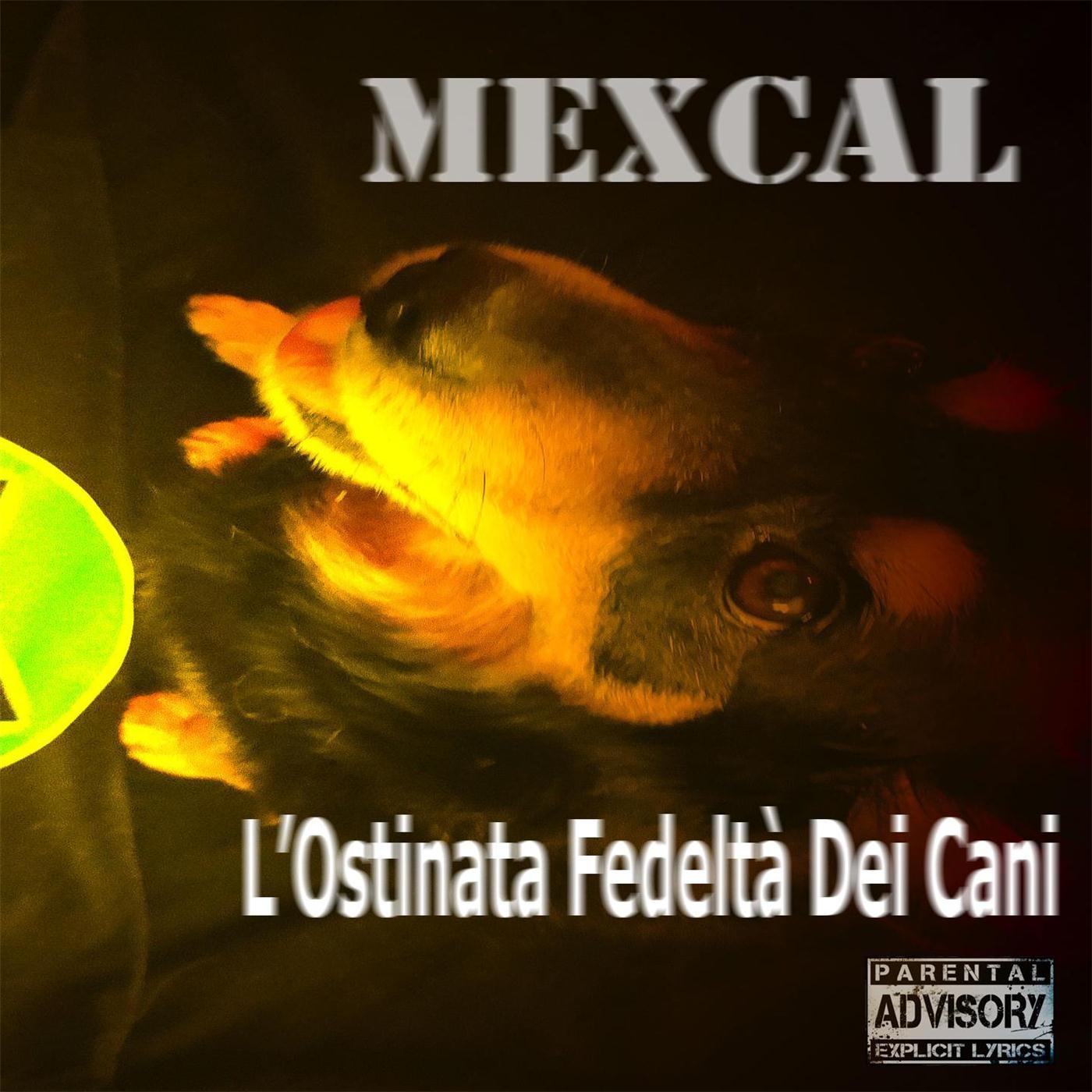 L'ostinata Fedeltà Dei Cani