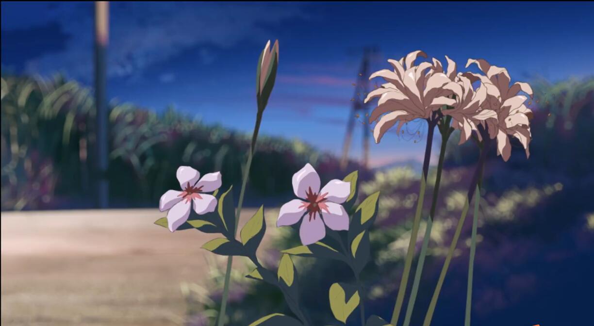 蛍