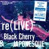 月と太陽 re(LIVE) -Black Cherry- (iamSHUM Non-Stop Mix) in Osaka at オリックス劇場 (2019.10.13)