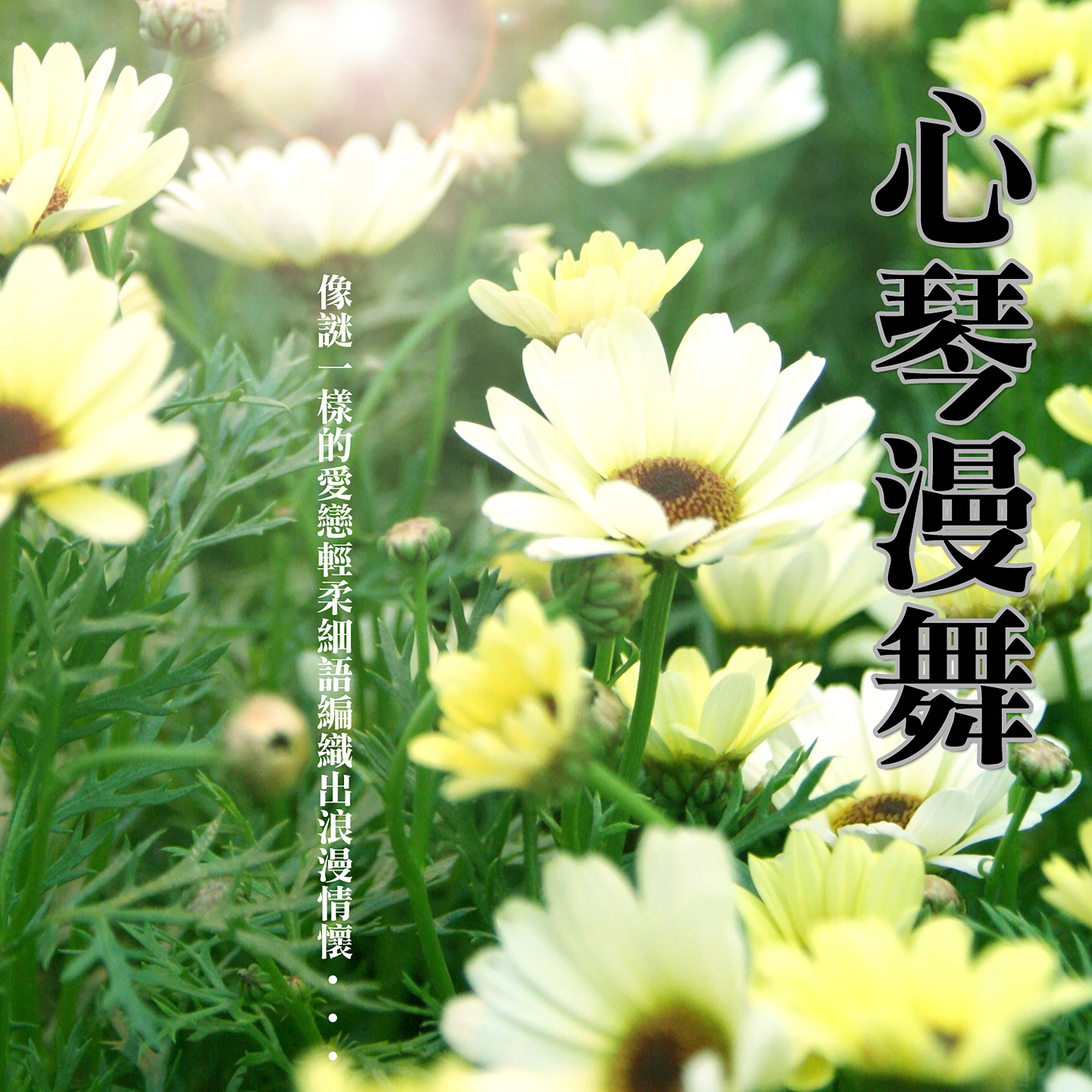 心琴漫舞
