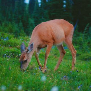 『纯音』适合用在公益 、环保广告上的BGM