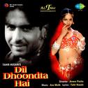 Dil Dhoondta Hai专辑