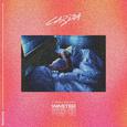 Wasted (Remixes)