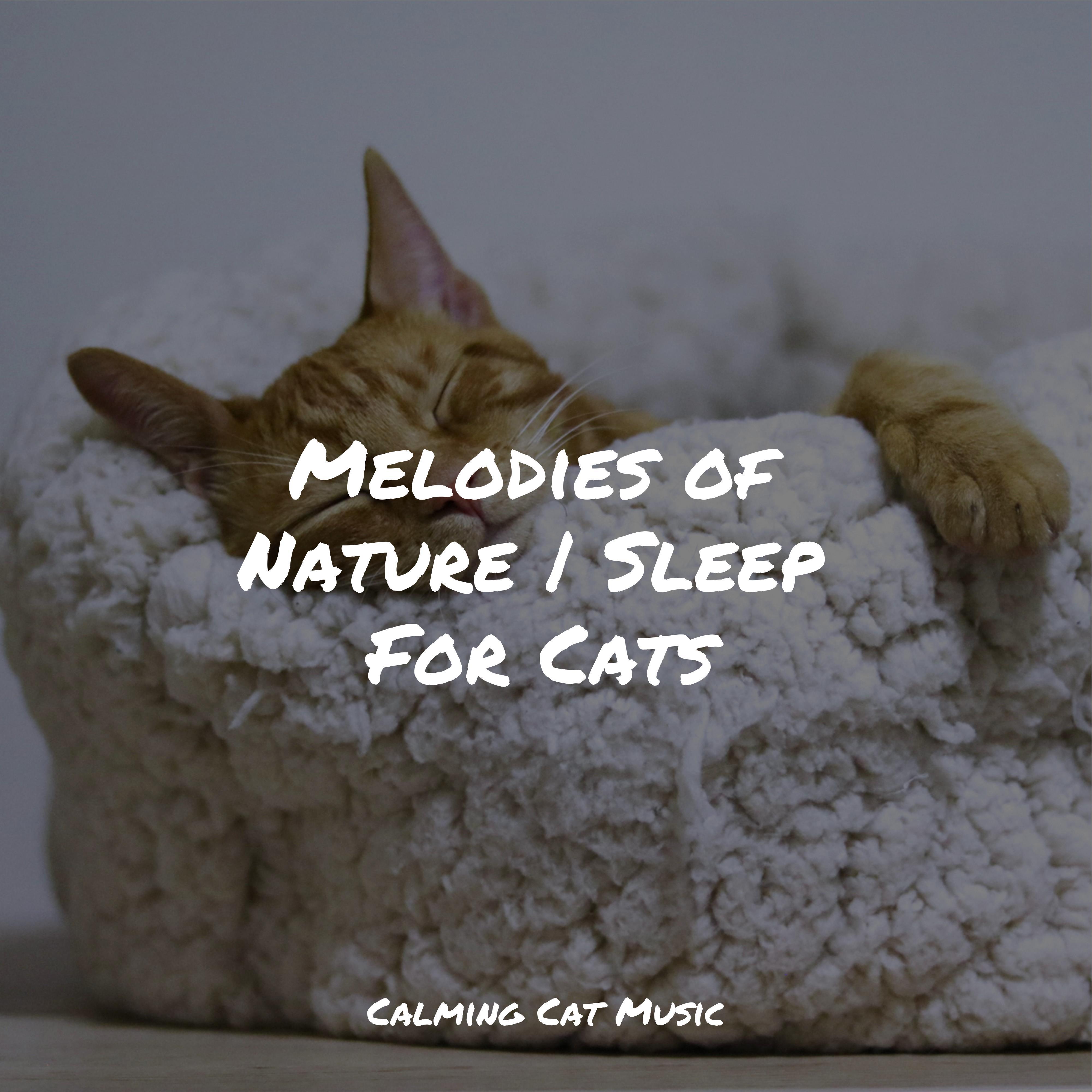 Jazz Music for Cats - Sleepy