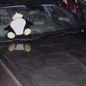 when you sit on my car专辑