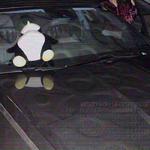 when you sit on my car专辑