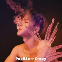 王嘉尔-Papillon&（Crazy RadiioMix）