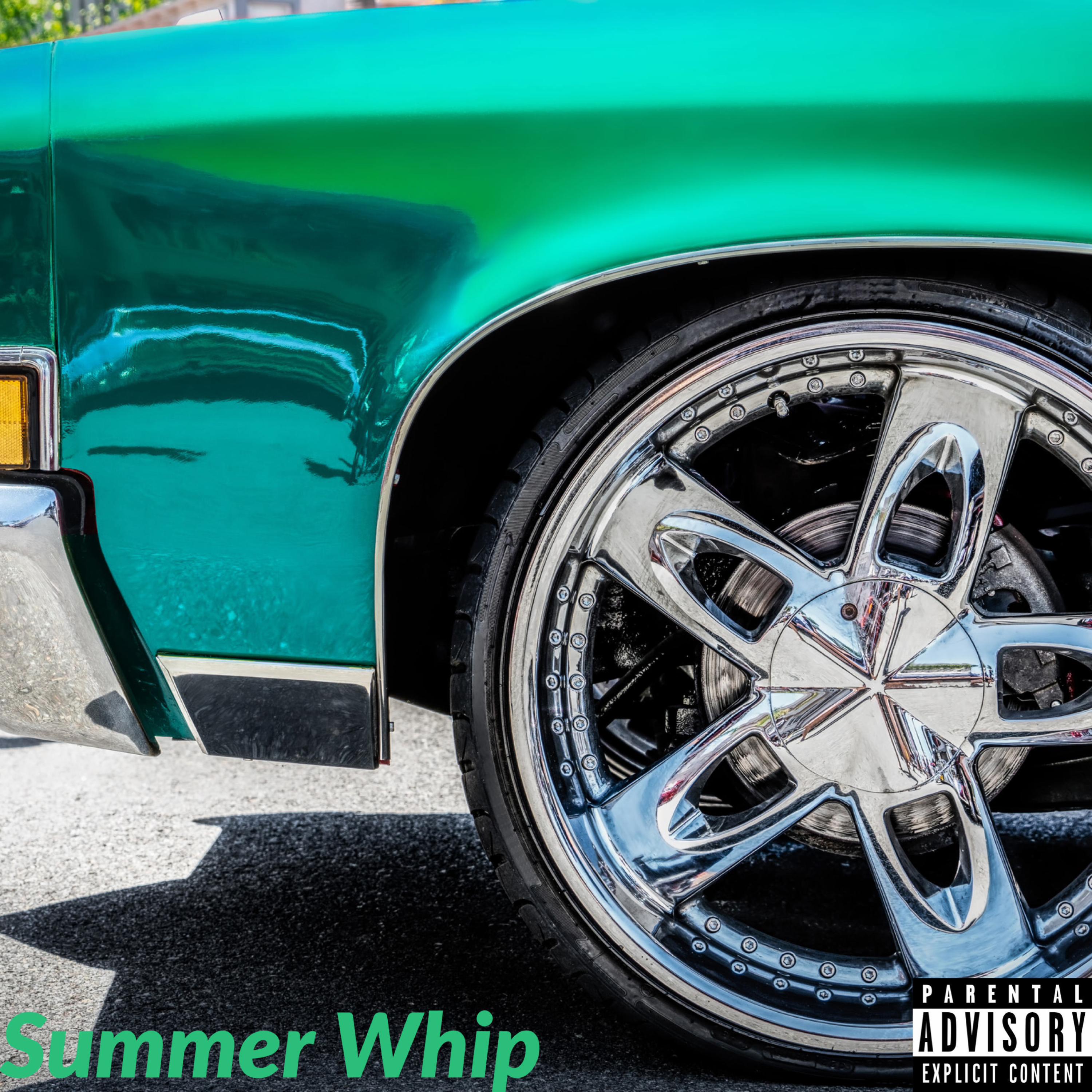 ZCN Nash - Summer Whip