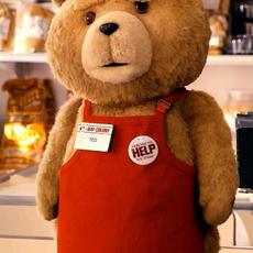 Ted K