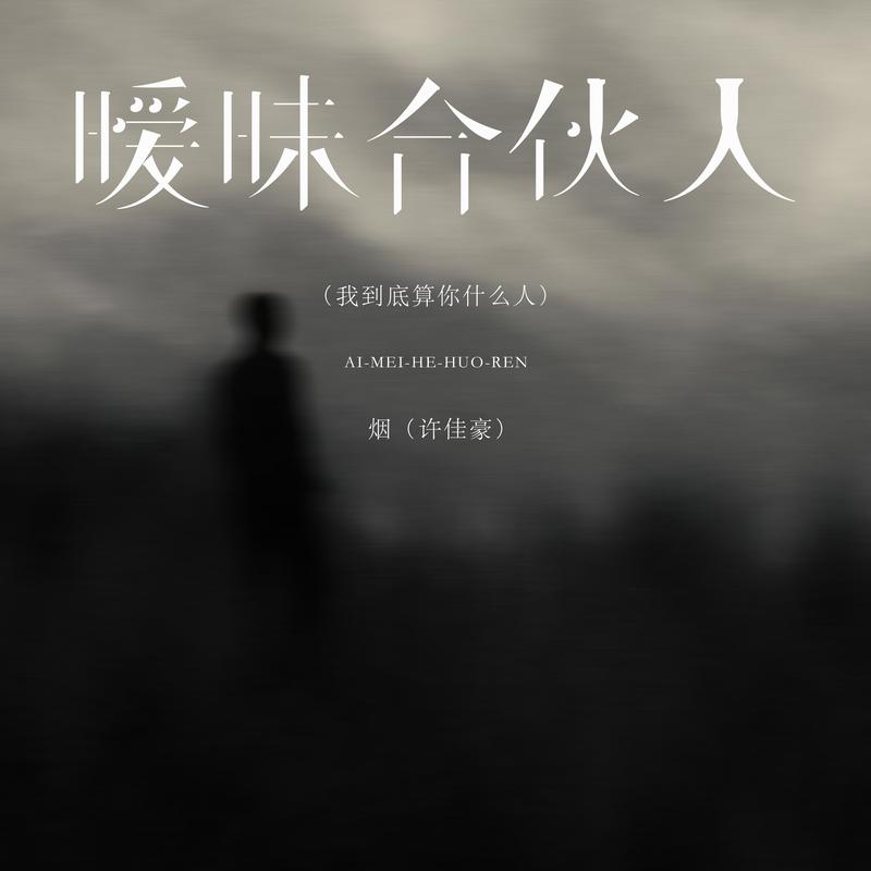 暧昧合伙人 (我到底算你什么人)