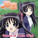 双恋オリジナルサウンドトラック Sound of Twin Wish专辑