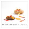 Spa & Wellness in North America专辑