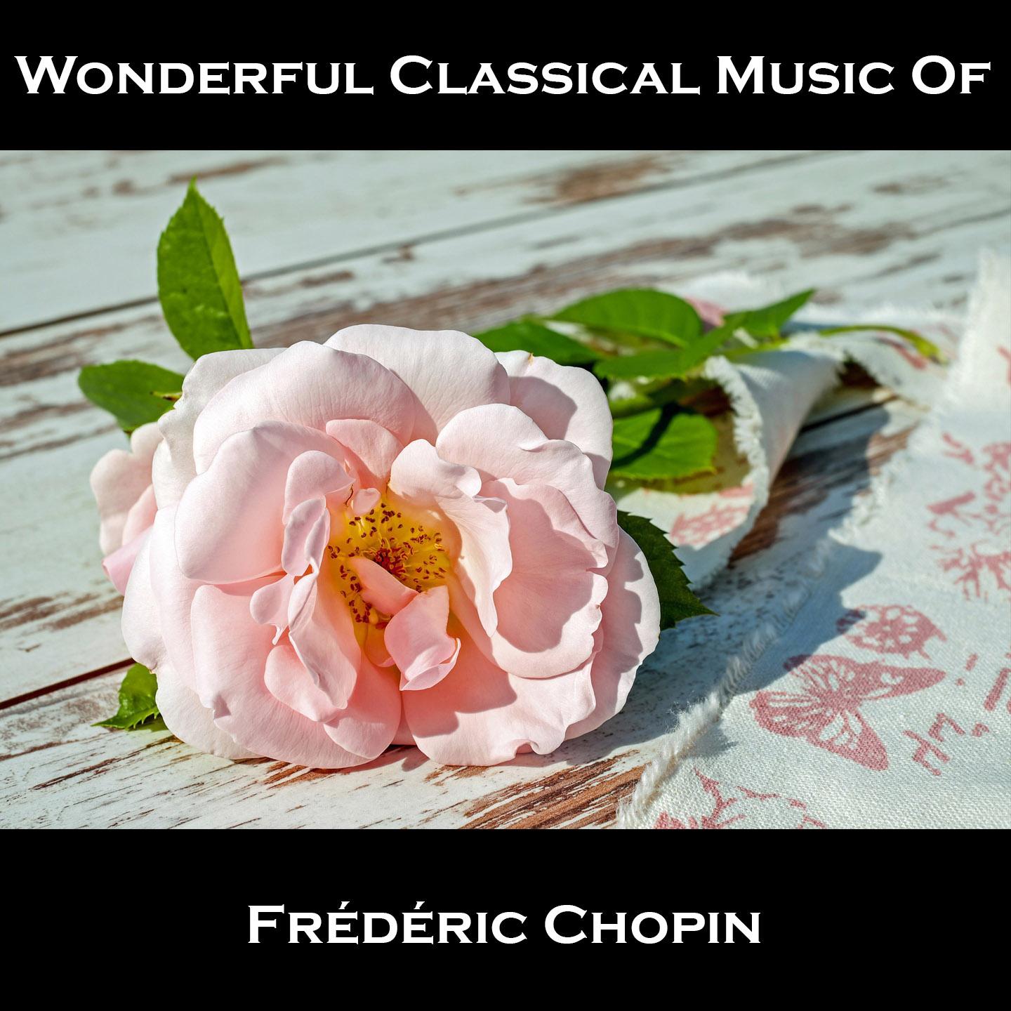 Wonderful Classical Music Of Frédéric Chopin专辑