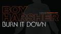 Burn It Down专辑