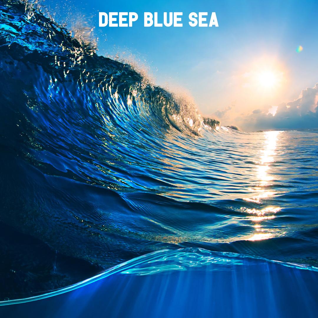 歌手:ocean waves for sleep 所属专辑:deep blue sea 播放 收藏 分享