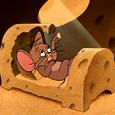 Ya Know Ma Cheez