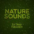 Nature Sounds for Sleep Relaxation