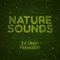 Nature Sounds for Sleep Relaxation专辑