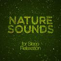Nature Sounds for Sleep Relaxation专辑