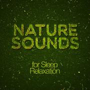 Nature Sounds for Sleep Relaxation