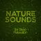 Nature Sounds for Sleep Relaxation专辑