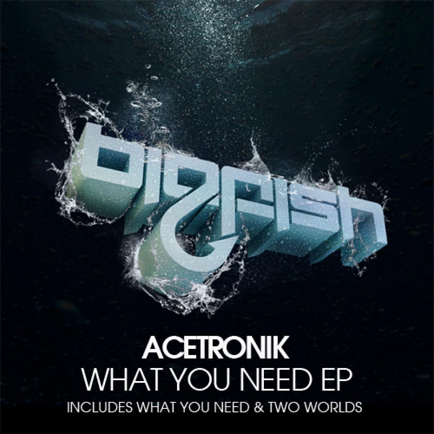 What You Need EP
