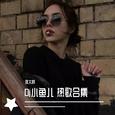 Dj小鱼儿 热歌合集