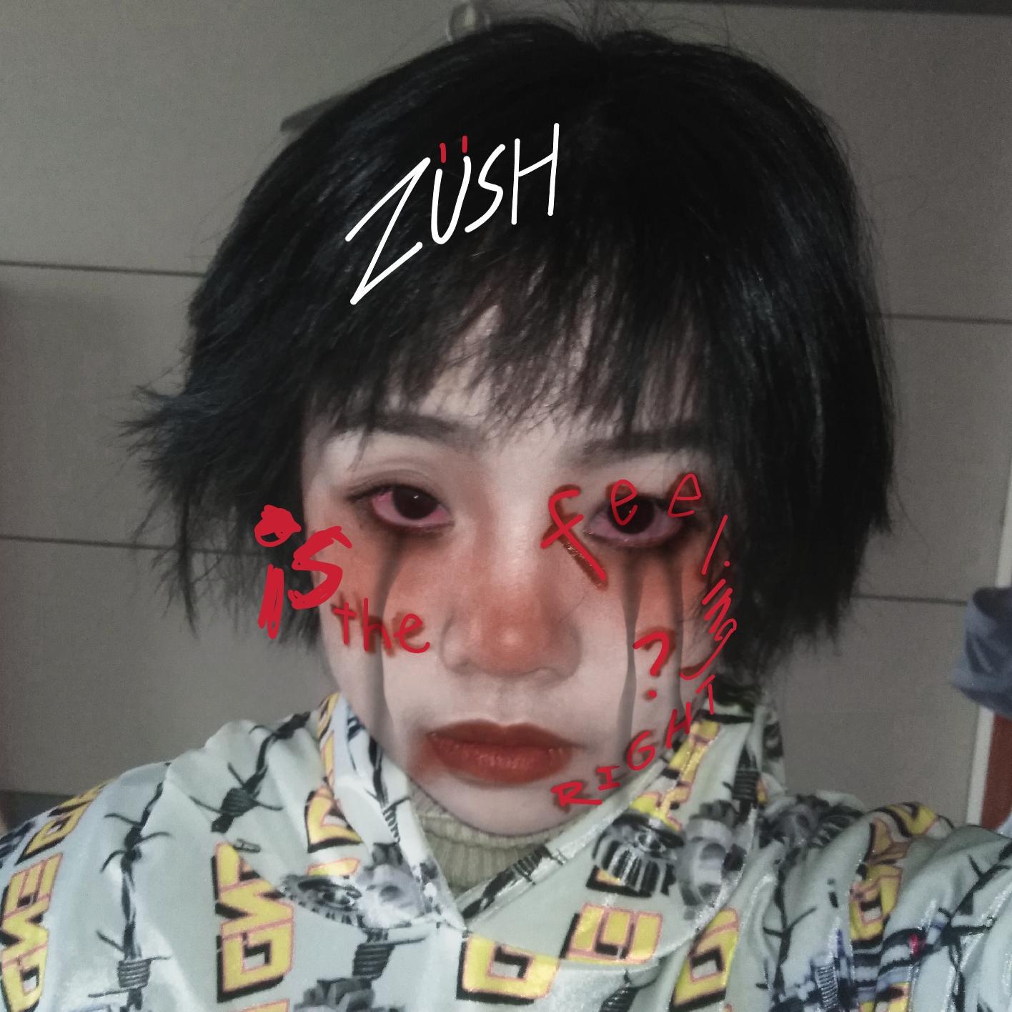 Zush - zush的情人节日记(prod by.E.PINE x YERUILE)
