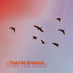 Song For Birds