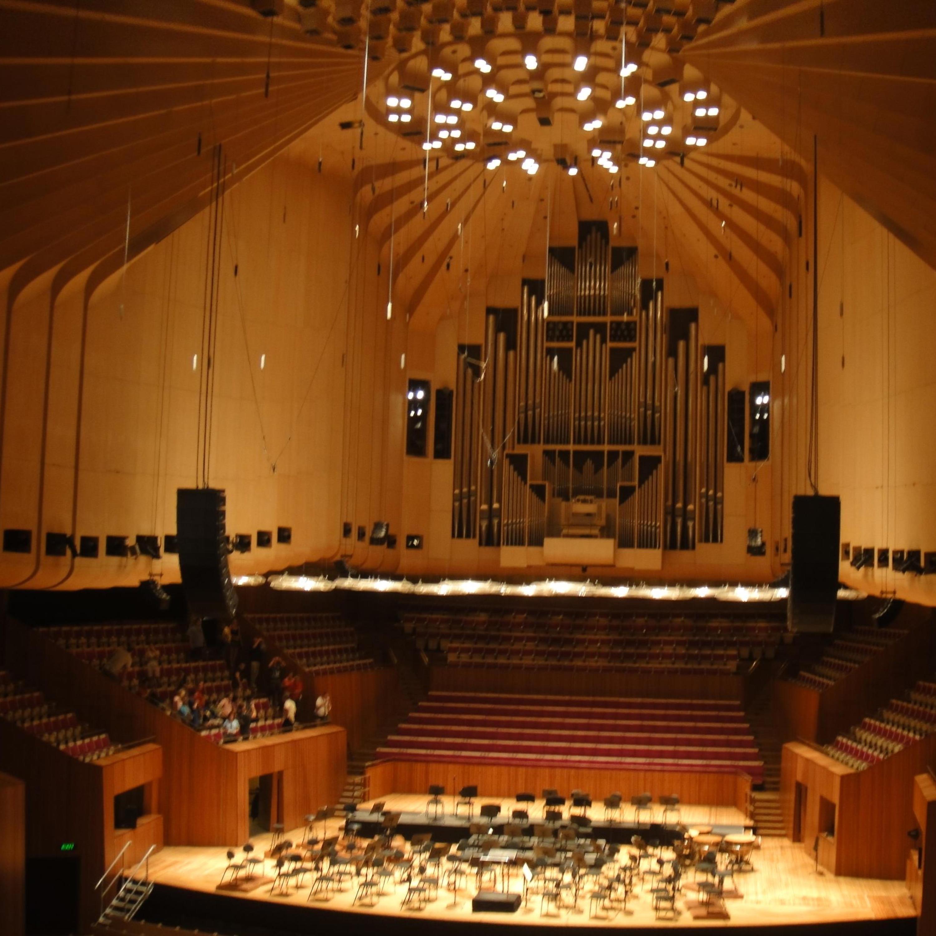 追着钱的老鼠掉进了泥坑里