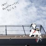 (un)sentimental spica专辑