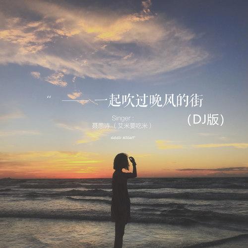 一起吹过晚风的街（DJ版）