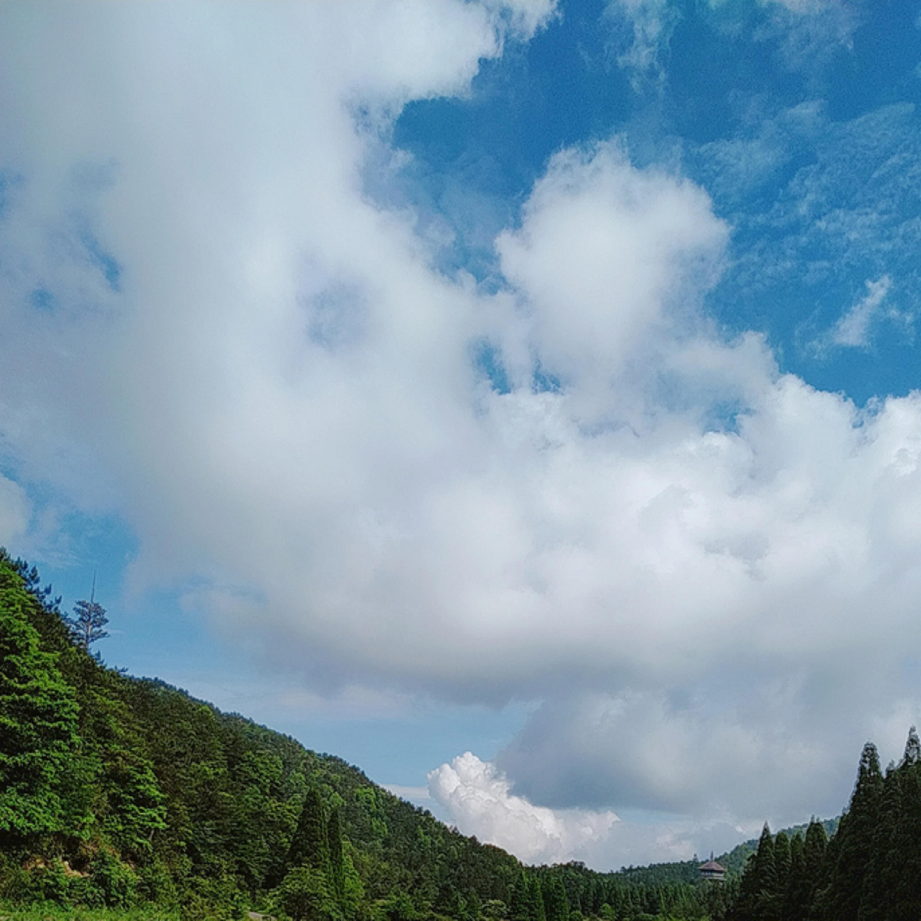 红颜