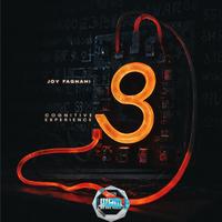 Cognitive Experience