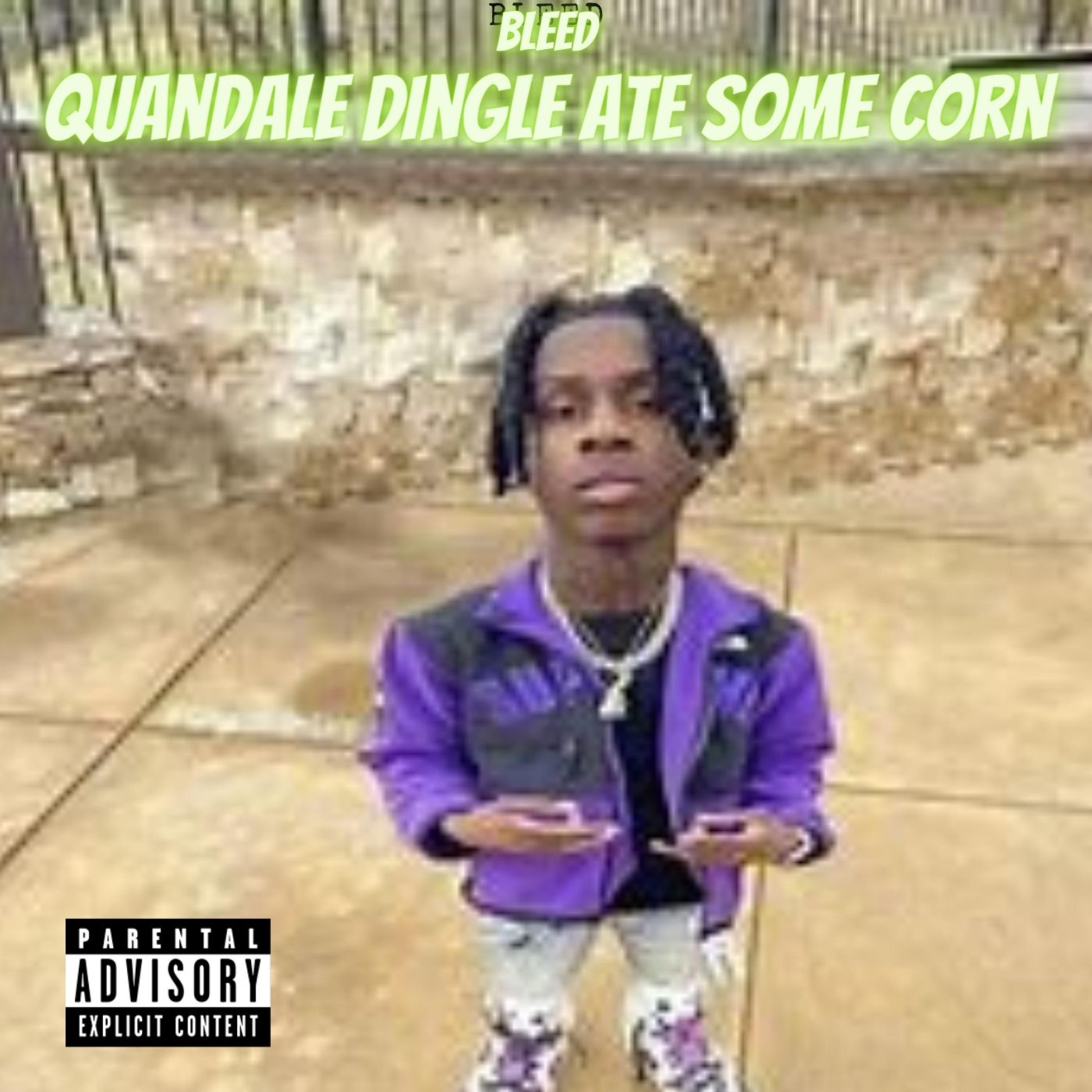 Bleed - Quandale Dingle Ate Some Corn