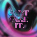 Can't Fake It专辑