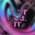 Can't Fake It专辑