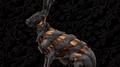 Jackrabbit (Deluxe Edition)专辑