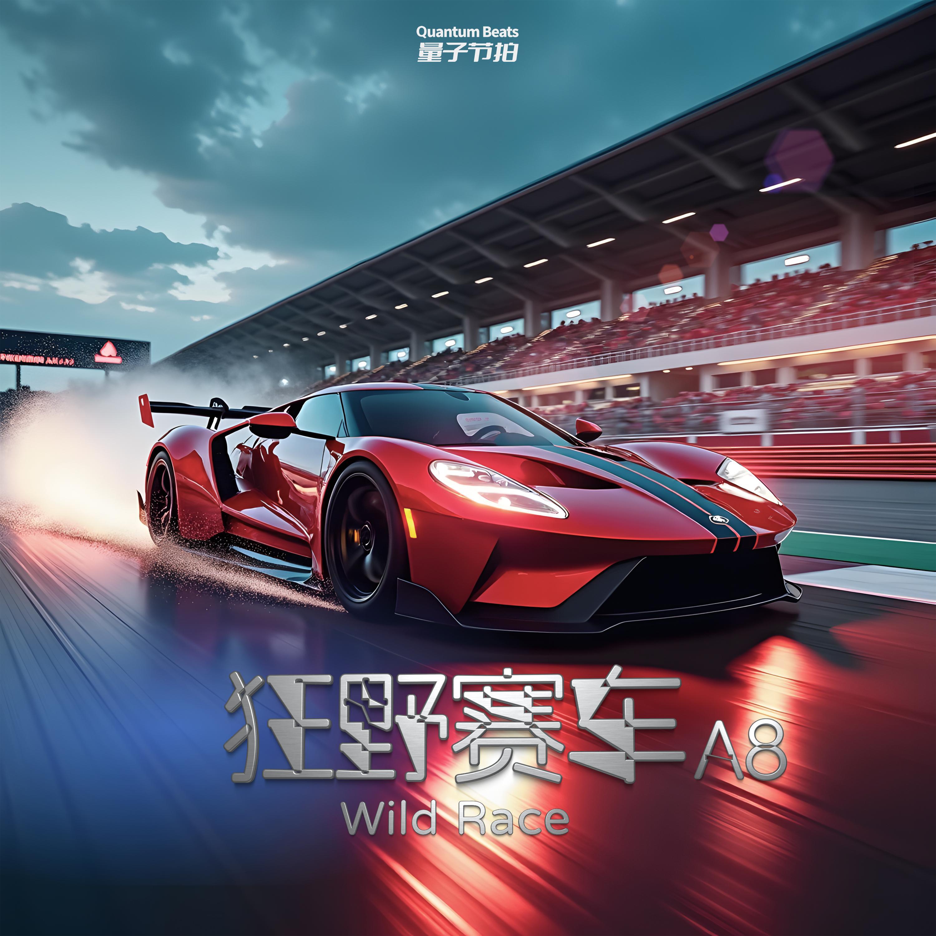 狂野赛车-Wild Race A8