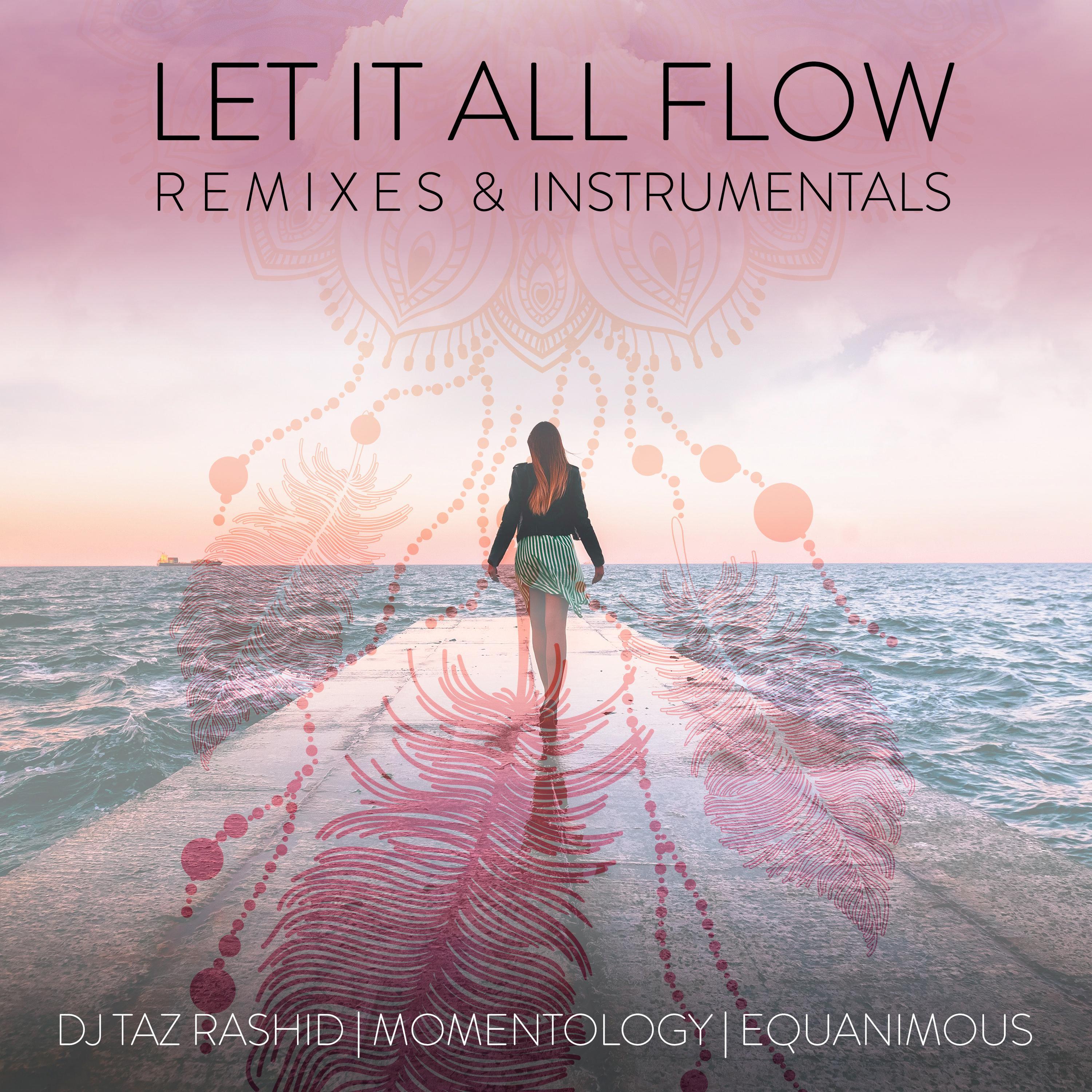 DJ Taz Rashid - Let It All Flow (feat. Artzi) (Momentology Mix)