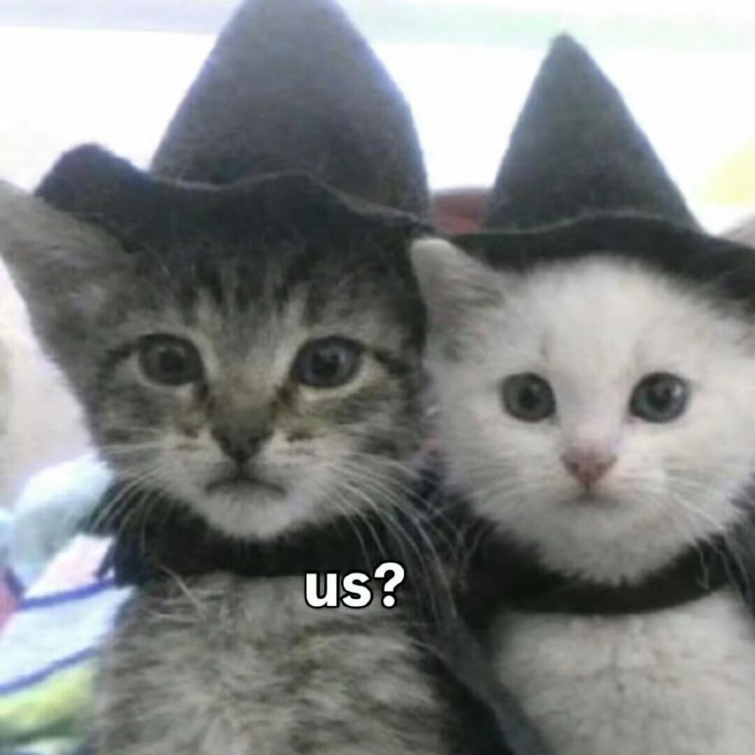 我就想一直这样靠着你