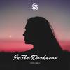 Chris Niers - In The Darkness (Extended)