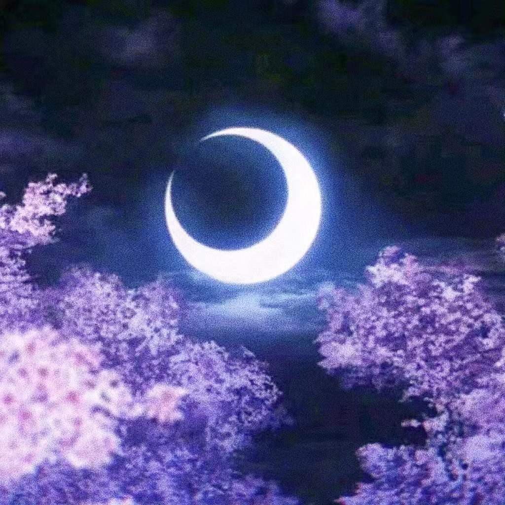夜语